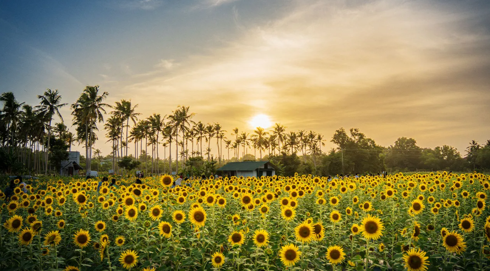 भारत में सबसे साफ हवा कहाँ मिलती है? ट्रैवलर्स के लिए Clean-Air Destinations