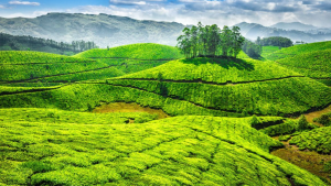 साफ हवा वाली जगहें: भारत के उन शहरों की लिस्ट जहां AQI रहता है ‘Good’